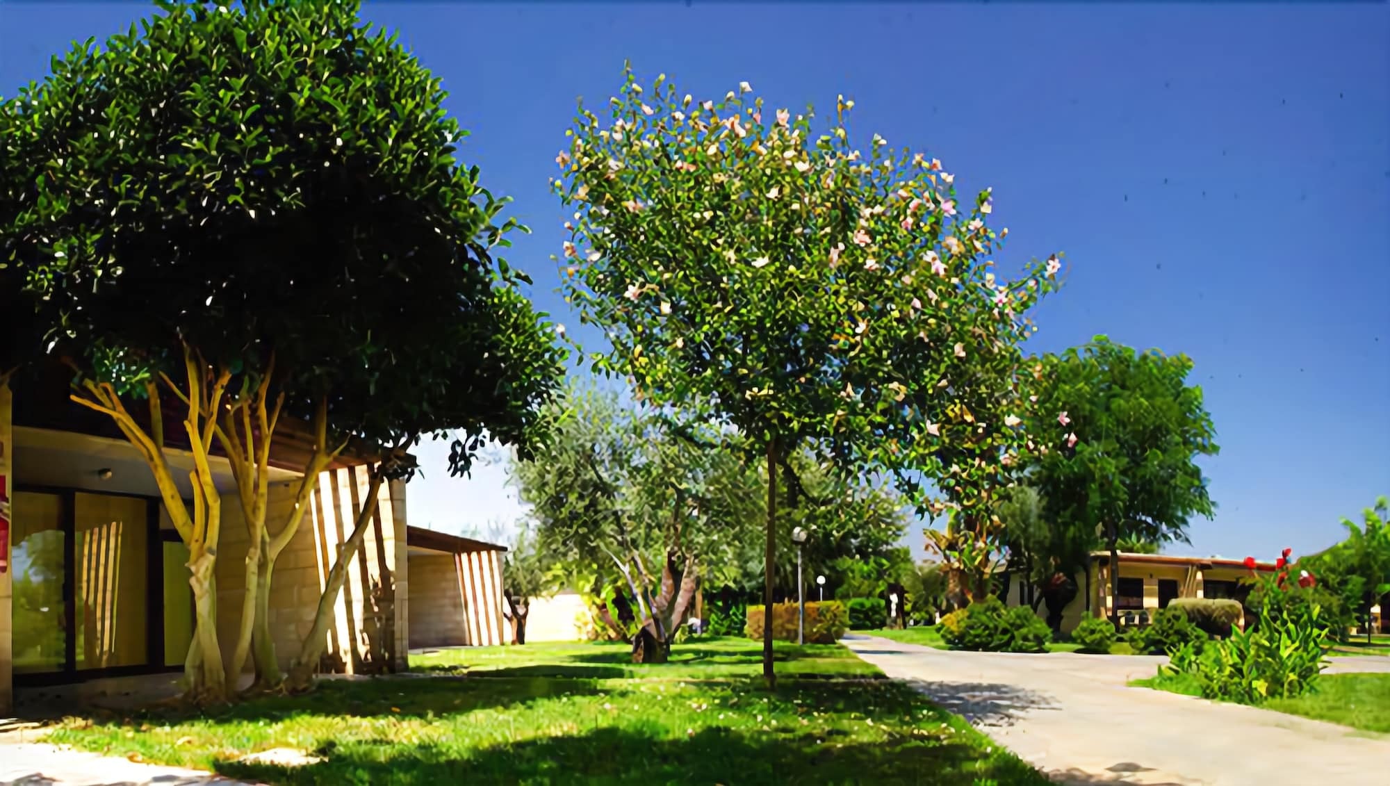 Magna Grecia Hotel Village Metaponto Esterno foto